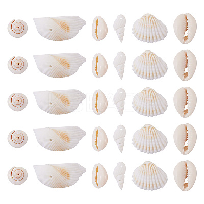 DIY Natural Shell Jewelry Making Finding Kits DIY-BT0001-37-1