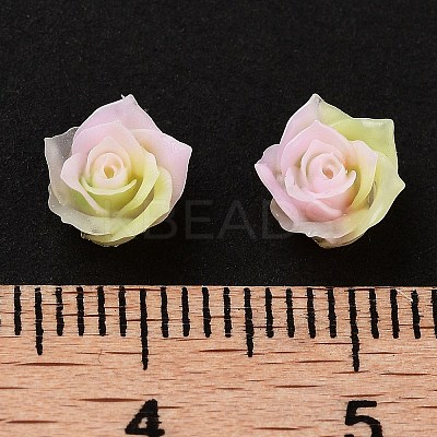 Luminous Resin Decoden Cabochons RESI-K036-51-1
