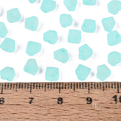 FGB Frosted Transparent Glass Seed Beads SEED-N013-03A-10-1