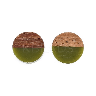 Opaque Resin & Walnut Wood Stud Earrings EJEW-N017-008-B08-1