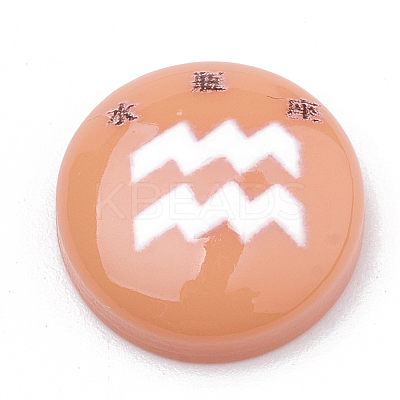 Constellation/Zodiac Sign Resin Cabochons CRES-N010-07F-1
