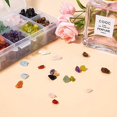 Natural Jade & Aquamarine & Green Aventurine & White Shell & Red Jasper & Rose Quartz & Tiger Eye & Amethyst & Agate & Obsidian Chips Beads G-PH0033-03-1
