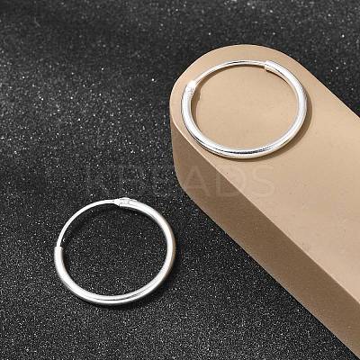 Brass Hoop Earrings EJEW-G474-01S-03-1