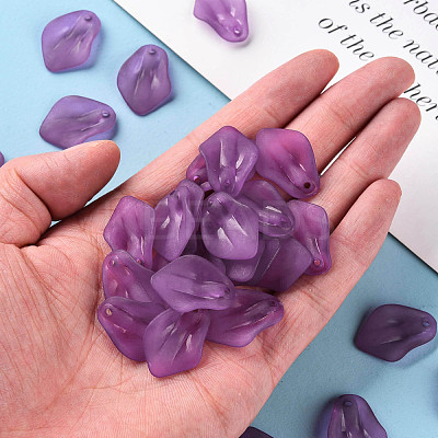 Transparent Frosted Acrylic Pendants MACR-S371-03A-743-1