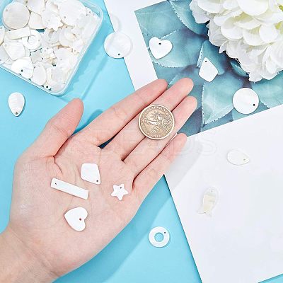 Natural Freshwater Shell Charms/Pendants SHEL-NB0001-03-1