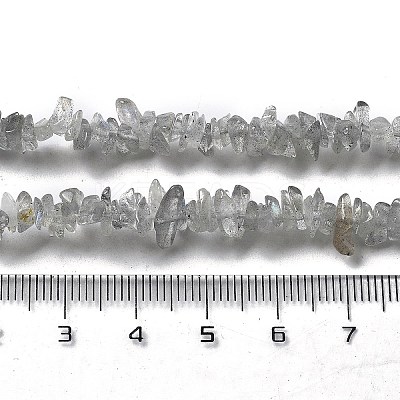 Natural Supper 7 Rutilated Quartz Chip Beaded Necklaces for Men Women NJEW-G159-01D-1