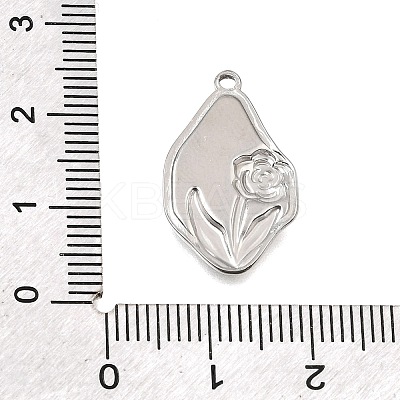 304 Stainless Steel Pendants SA-CBAF4B0-04P-05-1