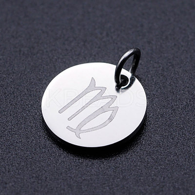 Non-Tarnish 201 Stainless Steel Charms STAS-T049-T643-6P-1