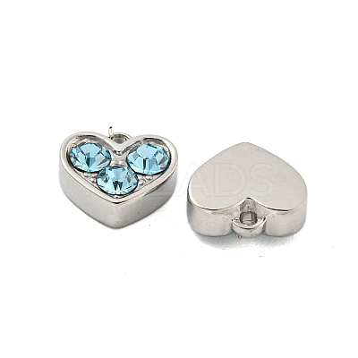 304 Stainless Steel Pendants STAS-L080-001P-02-1