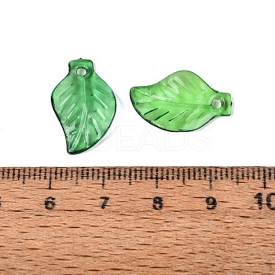 Transparent Acrylic Pendants TACR-436-17-1