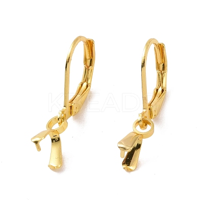 304 Stainless Steel Leverback Earring Findings LS-STAS-G283-01G-1