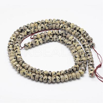 Faceted Natural Dalmatian Jasper Rondelle Beads Strands G-K090-03-1