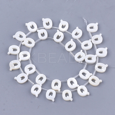 Natural Freshwater Shell Beads SHEL-T012-59Q-1