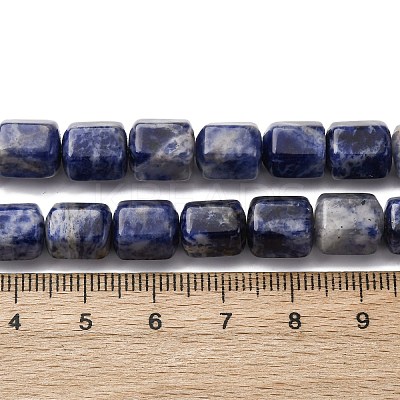 Natural Sodalite Beads Strands G-R015-A03-1