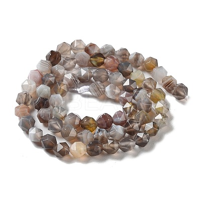 Natural Botswana Agate Beads Strands G-NH0002-C01-01-1