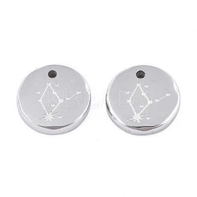 Non-Tarnish 316 Surgical Stainless Steel Charms STAS-S116-418D-P-1