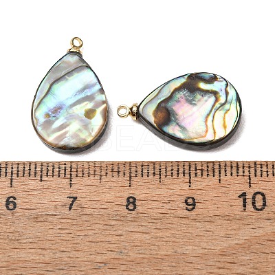 Natural Abalone Shell Pendants SH-CJC0AC7-01C-G-1