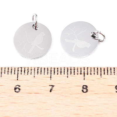 Non-Tarnish 201 Stainless Steel Charms STAS-T049-T674-1-1
