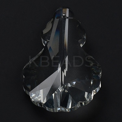 Transparent Glass Big Pendants GLAA-R223-06-1