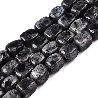 Natural Larvikite Beads Strands G-T138-106-1