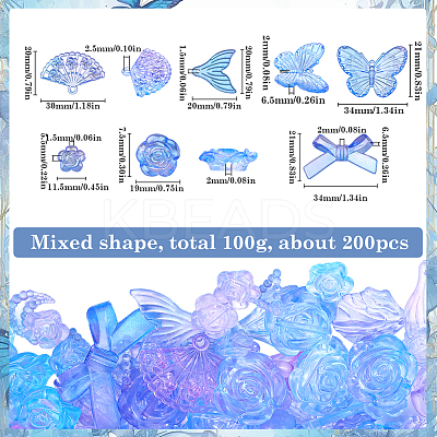 100G Transparent Frosted Resin Beads RESI-SC0003-26-1