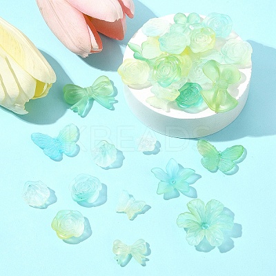 60G Transparent Acrylic Beads OACR-FS0001-90C-1