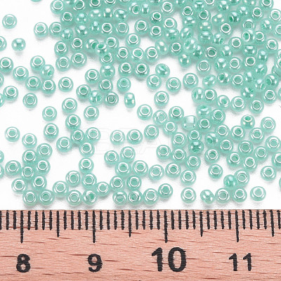 12/0 Imitation Jade Glass Seed Beads SEED-S049-A-013-1