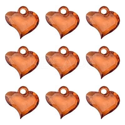 Transparent Acrylic Pendants PL762Y-14-1