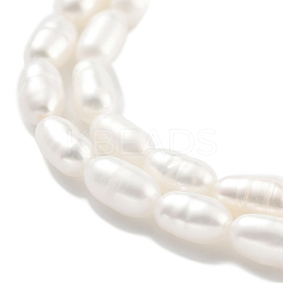 Natural Cultured Freshwater Pearl Beads Strands PEAR-P062-01E-1