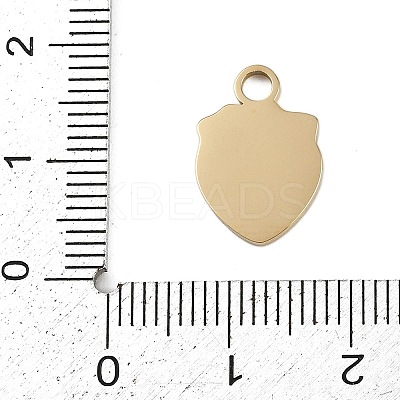 304 Stainless Steel Enamel Charms STAS-I338-01G-10-1