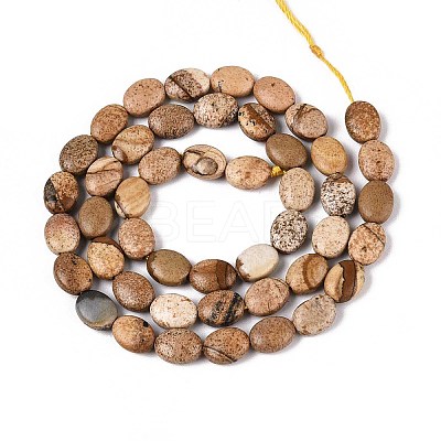 Natural Picture Jasper Beads Strands G-T142-30-1