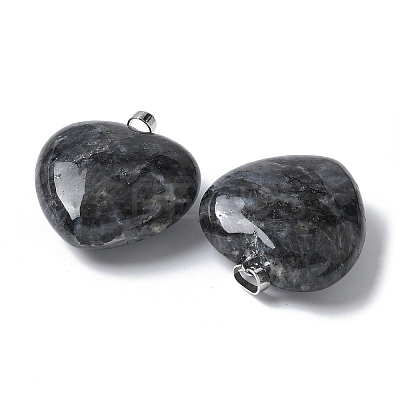 Natural Larvikite Pendants G-A259-02P-01-1