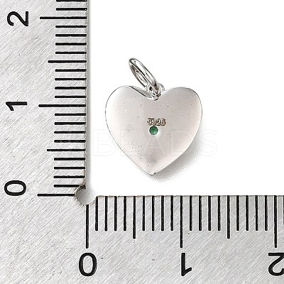 925 Sterling Silver Micro Pave Clear Cubic Zirconia Charms STER-V001-01P-05-1