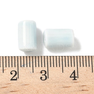 Handmade Porcelain Beads PORC-P031-01-1