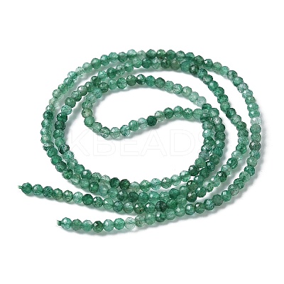 Natural Fuchsite Beads Strands G-C009-A27-01-1