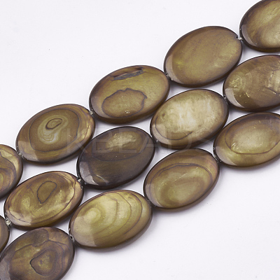 Freshwater Shell Beads Strands SHEL-S274-37B-1