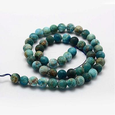 Natural Apatite Beads Strands G-K193-10mm-12-1