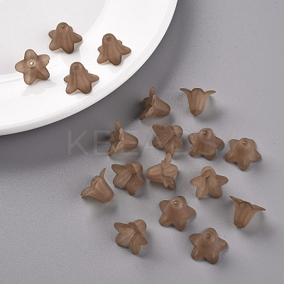 Transparent Acrylic Beads PLF018-14-1