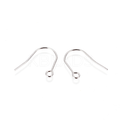 Tarnish Resistant 316 Surgical Stainless Steel Earring Hooks LS-X-STAS-F216-03P-B-1