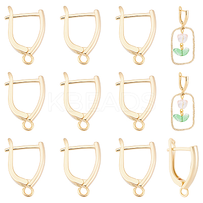 20Pcs Rack Plating Eco-friendly Brass Hoop Earring Findings with Latch Back Closure KK-BBC0027-50G-1