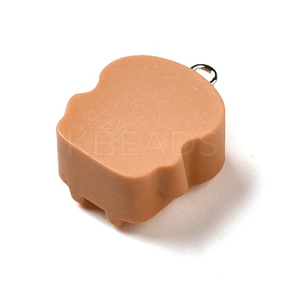 Opaque Resin Imitation Food Pendants LS-CRES-M030-06F-1