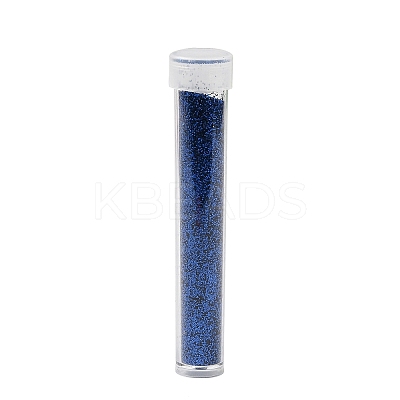 Plastic Glitter Powder Fillers LS-AJEW-H144-01H-1