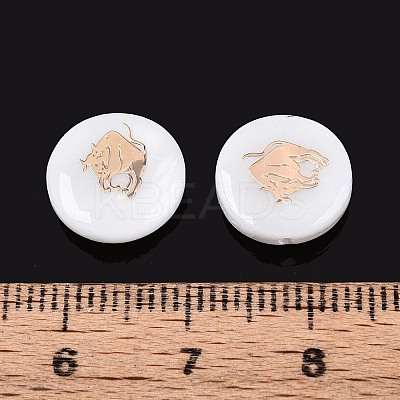 Natural Freshwater Shell Beads SHEL-N037-02A-G-1