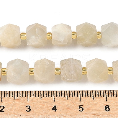 Natural Moonstone Beads Strands G-G271-A02-01-1