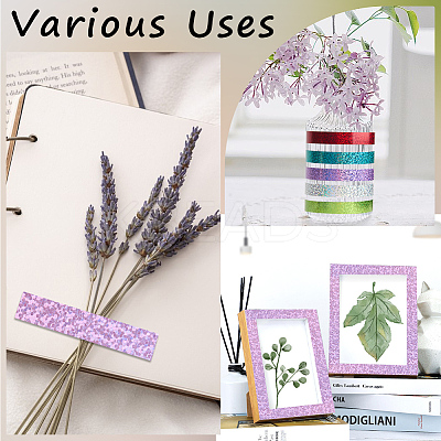 DIY Scrapbook Decorative Laser Paper Tapes DIY-WH20001-98B-1
