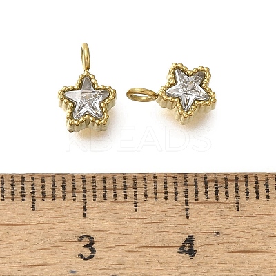 304 Stainless Steel Micro Pave Cubic Zirconia Charms STAS-U027-02G-01-1