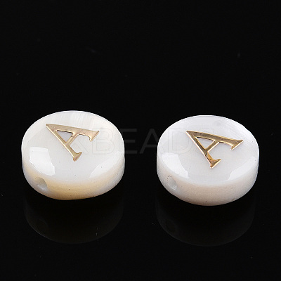 Natural Freshwater Shell Beads SHEL-N036-01A-1