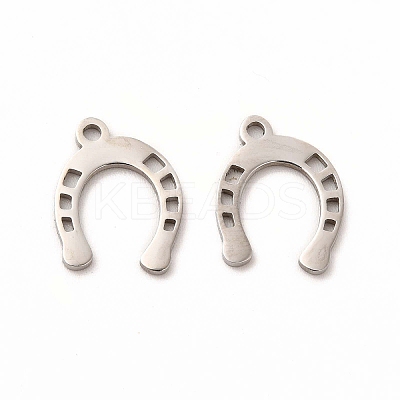 Non-Tarnish 201 Stainless Steel Charms LS-STAS-E188-05P-1