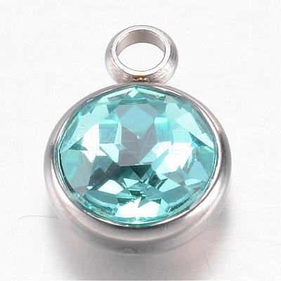 304 Stainless Steel Glass Rhinestone Charms STAS-G082-01-1