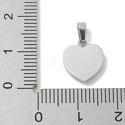 304 Stainless Steel Micro Pave Cubic Zirconia Pendants STAS-Z107-04P-03-1